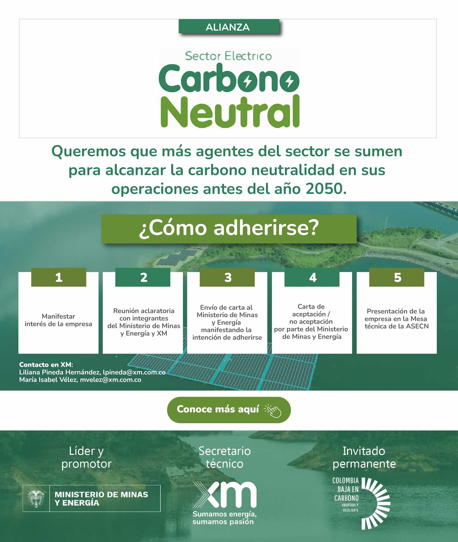 carbono neutral