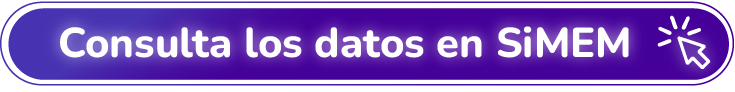Consulta los datos en SiMEM