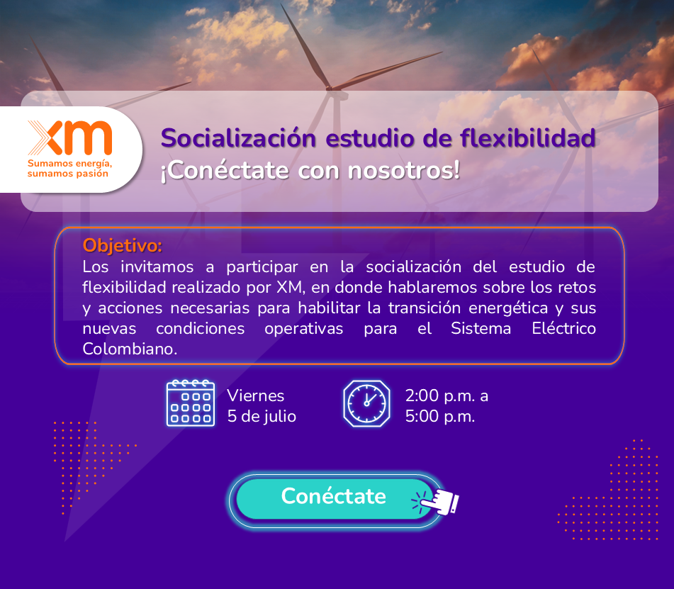 Socialización estudio de felxibilidad SIN