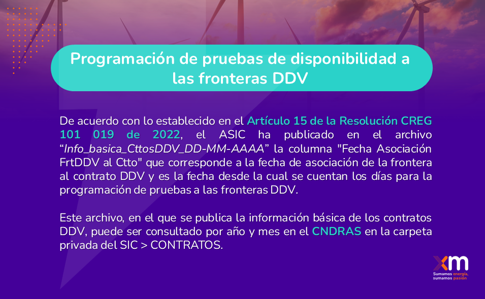 Programación pruebas