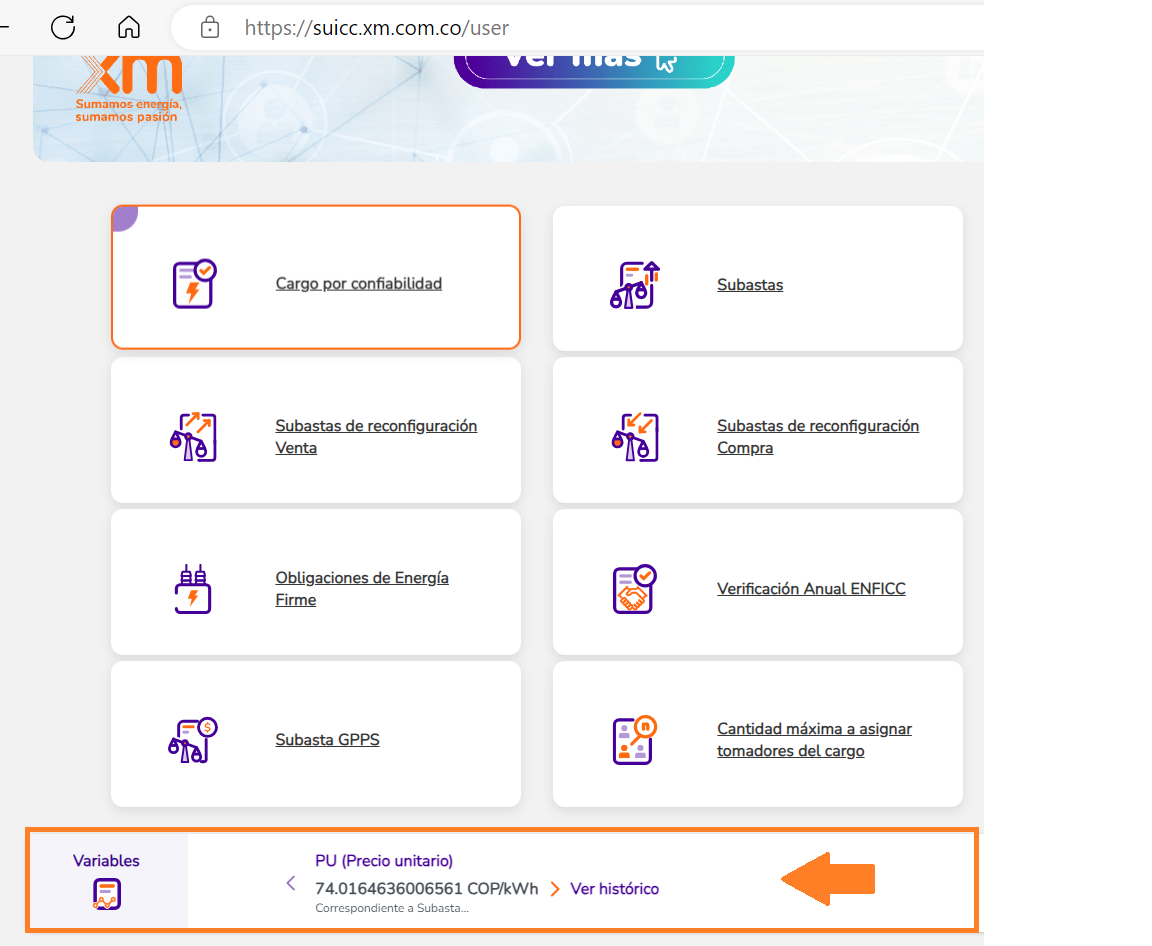 Visualización publicación PU