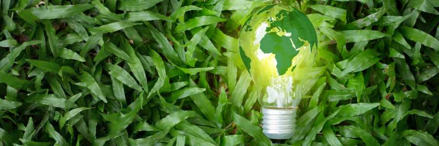 Ecotrade, la nueva tienda de activos y proyectos ambientales